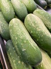 Cucumber displayed for sale in grocery shop