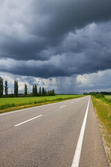 fields of Ukraine, grains sky, green grass