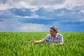 Portrait of senior farmer standing in wheat field