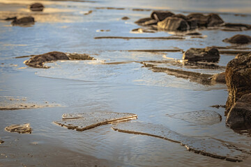 Spring has come early this year, the snow is melting and puddles are forming everywhere