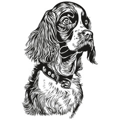 Spaniel English Springer dog hand drawn logo line art vector drawing black and white pets illustration