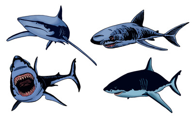 Vector set of blue sharks on white isolated, color illustration,underwater marine life