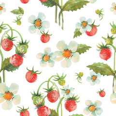 Seamless pattern with watercolor strawberry. Floral illustration of berries and flowers. Herbal background.
Good for wrapping paper, textile, prints and other.