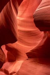 lower antelope