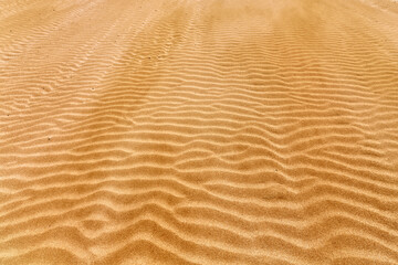 View of the sand from the African desert.