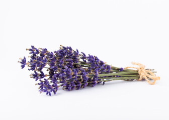 Lavender flowers isolated on white background.