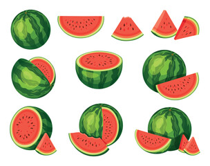 Set of fresh red watermelons in cartoon style. Triangle shaped watermelon, piece of bitten watermelon. Vector illustration of whole and cut fruits, big and small sizes on white background.