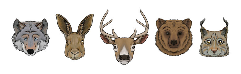 Wild Forest Living Animal Snout and Muzzle with Fur Vector Set