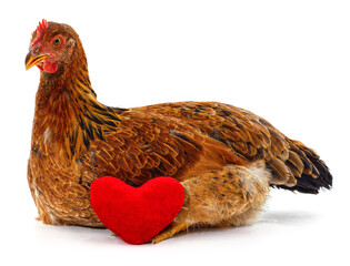 Chicken and heart.