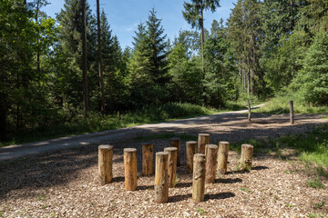 Angeordnete Gruppe von kurzen senkrechten Baumstämmen im Wald zum Balancieren, Spielen oder Sitzen