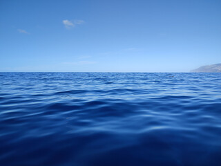 Fototapeta na wymiar blue water of the ocean and a cloudless sky 