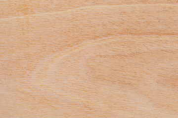 Light rough textured cut surface of an African tree. Wood background or blank for design