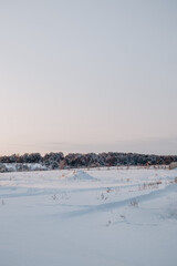 Winter views of the snow-covered forest.