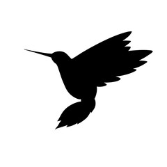 Hummingbird zen ornament mandala. Vector illustration. Colibri