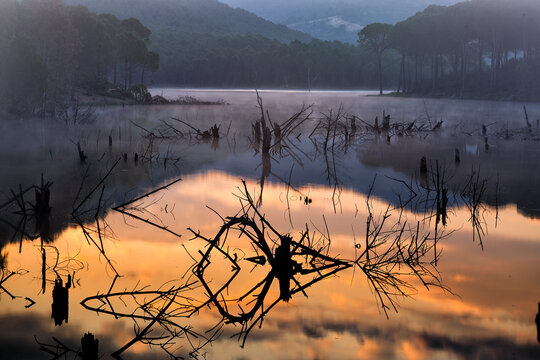 Rio Tinto river in fog, Huelva province, Andalusia, Spain