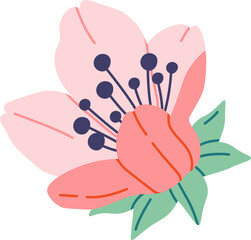 Cherry blossom flowers flat icon Spring tree