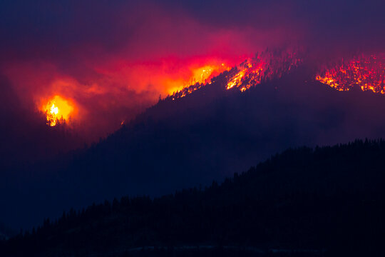 Wildfire at Lolo Peak crowns through trees on edge of Selway-Bitterroot Wilderness in the Lolo National Forest near Missoula, Montana, USA