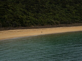 Lone hiker tramping along tropical pacific ocean beach surrounded by green nature, Abel Tasman National Park New Zealand