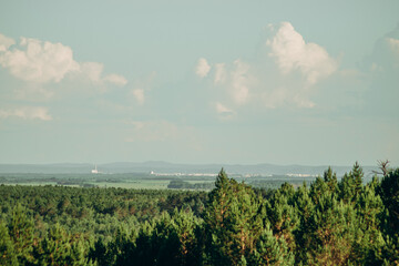 Forest green massif. View of the distant hills.