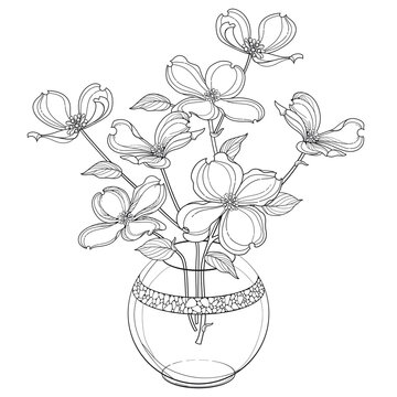 dogwood flowers in glass vase line art clip art preview