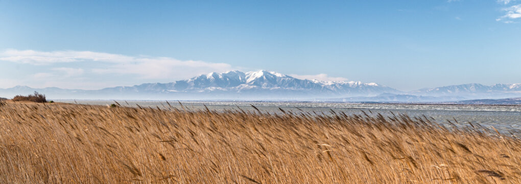 Le massif du Canigou depuis l'&eacute;tang de Leucate	
