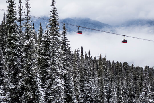 Ski lift over forest, Whistler, British Columbia, Canada
