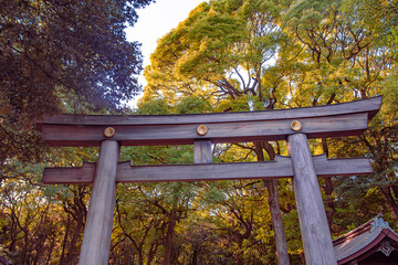 Meiji Jingu Gate