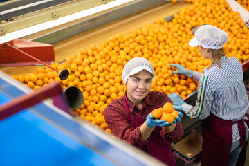 High angle view of smiling young female sorter working on citrus sorting line in agricultural factory showing pile of ripe mandarins © JackF