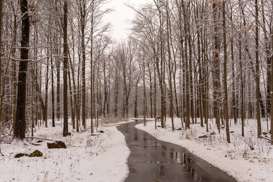 Snow Path