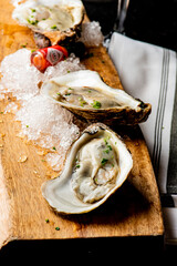 Oysters. Oysters on the half shell. Fresh oysters served with garlic, shallots, cocktail sauce, mignonette sauce and fresh lemons and limes. Classic American steakhouse or French bistro appetizer.