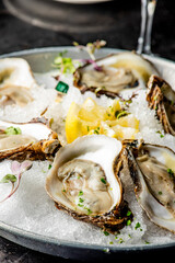 Oysters. Oysters on the half shell. Fresh oysters served with garlic, shallots, cocktail sauce, mignonette sauce and fresh lemons and limes. Classic American steakhouse or French bistro appetizer.