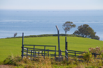 A hill overlooking the sea and a ranch