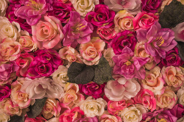 Background of roses with the theme of Valentine's Day