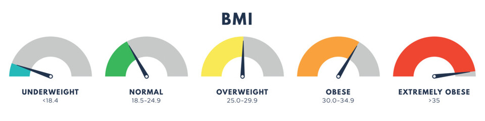 Body Mass Index or mass index scale. Types of BMI.Weight loss concept. Vector isolated illustration - obrazy, fototapety, plakaty