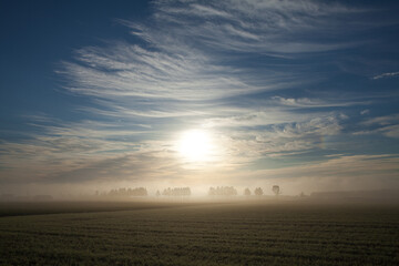 Fototapeta na wymiar Countryside smoldering in the morning mist