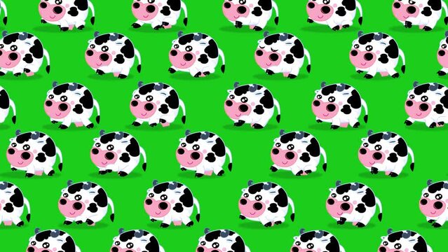 Cow kawaii spotted characters wallpaper walking on green background. Cute children cartoon animation good as backdrop for intro, party, television programme, presentation, etc... Seamless loop.