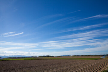 Autumn field and blue sky