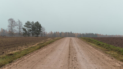 Fototapeta na wymiar Moody country road with arable land on both sides, a few trees and forest in the background