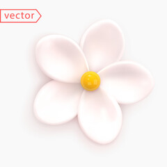 White Flower. Abstract minimal flower of Chamomile, Daisy, Jasmine, Cherry. Realistic 3d design element.Culinary cream cake decoration. Icon isolated on white background. 3d Render Vector illustration