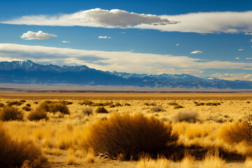 Fototapeta premium Bright prairie landscape