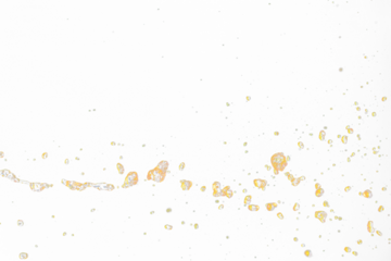 Orange, lemon juice or oil lubricant splash, liquid gold yellow drink drops. Fruit beverage water elements in line form . Fresh splashing and flowing jets, black background isolated freeze motion