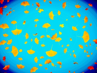 Plakat background with colorful yellow leaves 