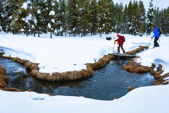 Side view of hikers crossing stream in forest during winter