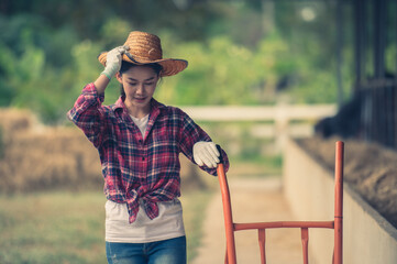 A beautiful female employee while working in the cattle semen production center of Kampu Farm, Pho...