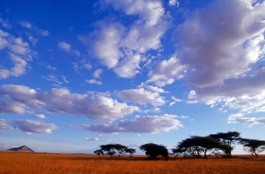 Chyulu Hills Kenya