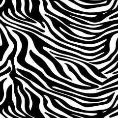 Illustration zebra fur, zebra skin.