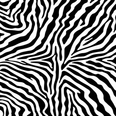 Illustration zebra fur, zebra skin.
