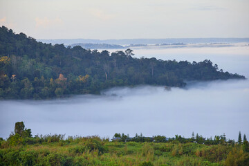 Fog in the mountains at Khao Kho in Thailand	