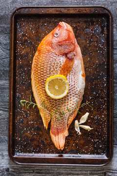 Citrus Fish