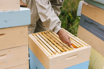 Job apiculture worker beehive 